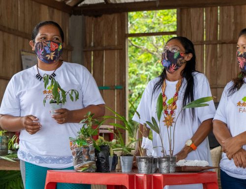 Seminário Mulheres da Floresta debate protagonismo feminino em territórios da Amazônia