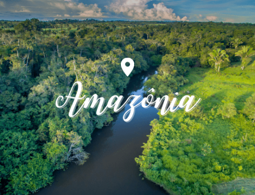 Investimentos na Amazônia: Oportunidades e Desafios