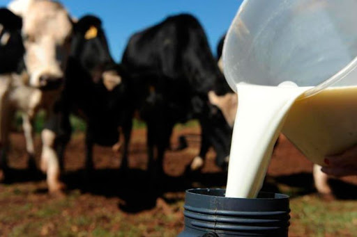 Idam auxilia produtores de leite de Parintins para aumento da produção agrícola