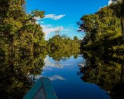 Preservação do bioma da Amazônia