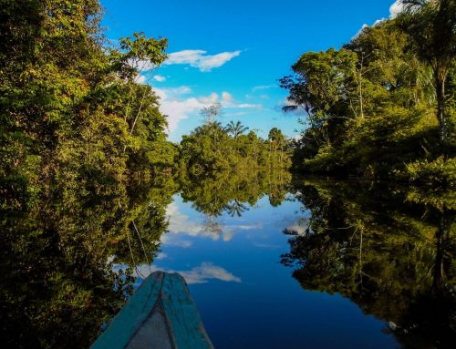 Preservação do bioma da Amazônia