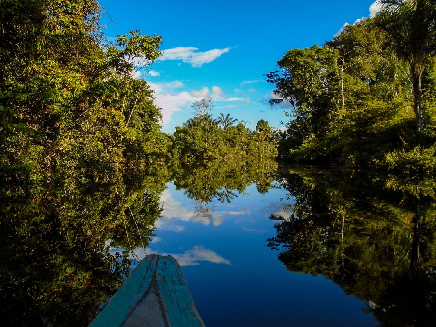 Preservação do bioma da Amazônia