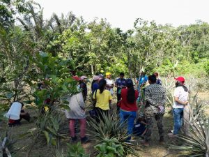 Ao todo, 14 agricultores familiares da Estrada