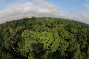 Bioeconomia Amazônia Secretário do MDIC  