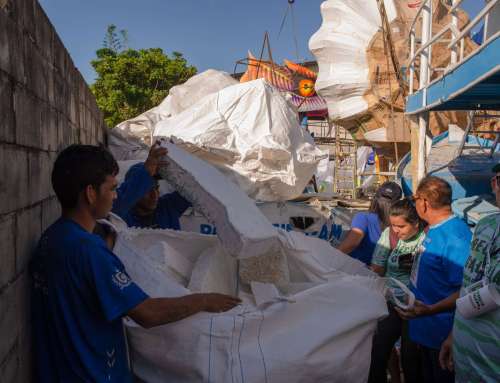 Caprichoso e Garantido iniciam coleta de isopor residual das alegorias para destinar à reciclagem