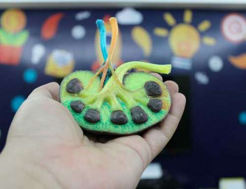 Amazonenses criam a primeira impressora 3D multicolorida do Brasil