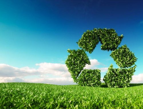 O processo de transição verde no Brasil