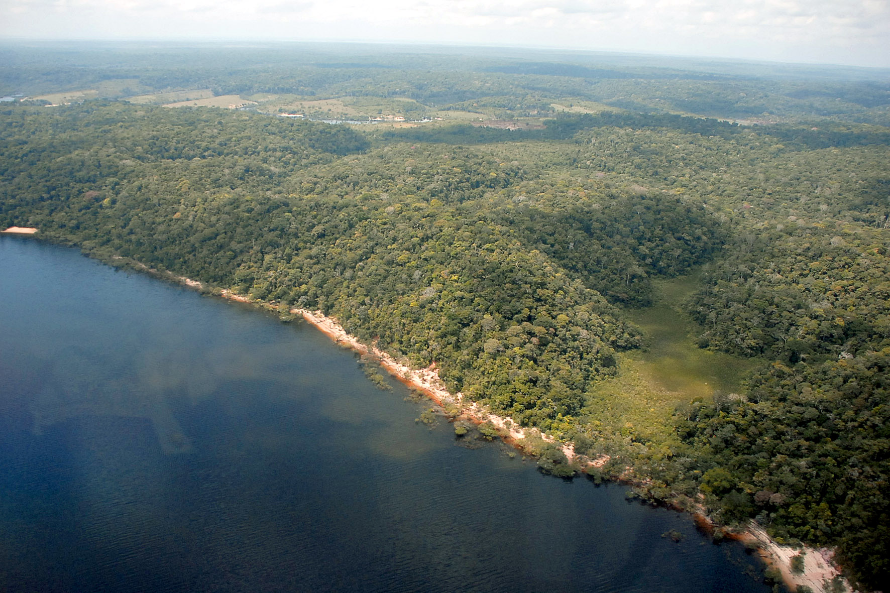 Desmatamento Amazonas queda 2023