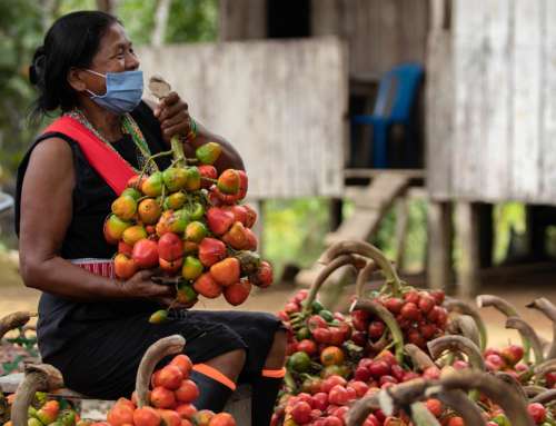 Empreendedorismo Feminino na Amazônia