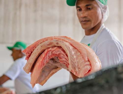 Feira do Pirarucu realiza venda de 5,2 toneladas de pescado fresco e sustentável