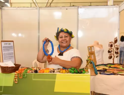 Cresce em 62% o número de negócios abertos no Amazonas