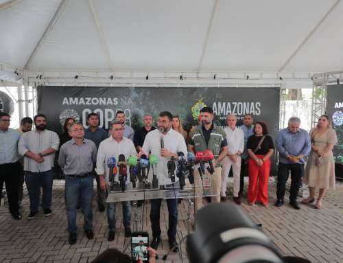 “Amazonas 2030” para combater desmatamento no estado