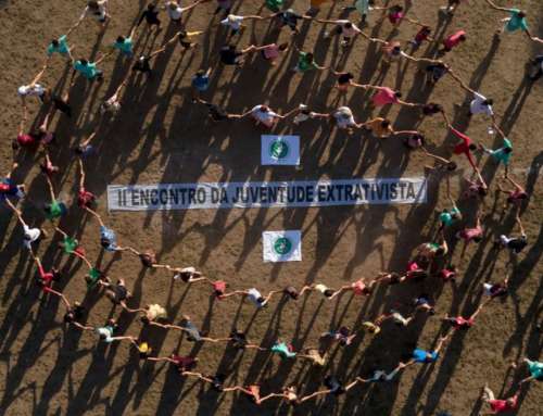 Mulheres extrativistas fortalecem equidade de gênero na  luta por proteção de territórios na Amazônia