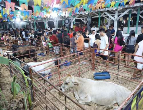 Sistema Sepror participa da abertura da 37ª Exposição Agropecuária de Parintins