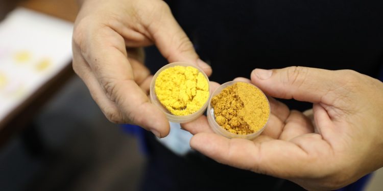 Corantes são obtidos a partir de resíduos de frutos Amazônicos