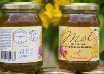 Produtos artesanais recebem certificação selo arte