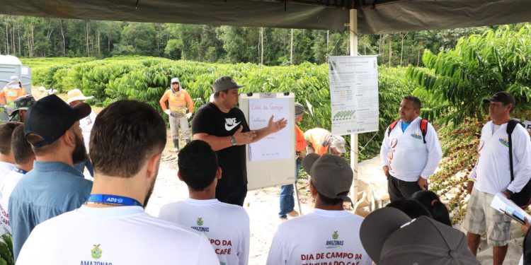 Técnicos e produtores rurais somam mais de 17 mil capacitações em 2023