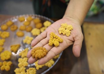 Pesquisa produz biscoitos