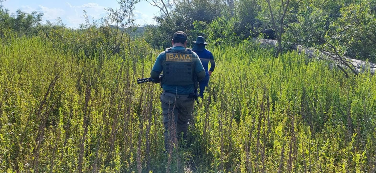 Operação apreende mais de uma tonelada de pescado ilegal