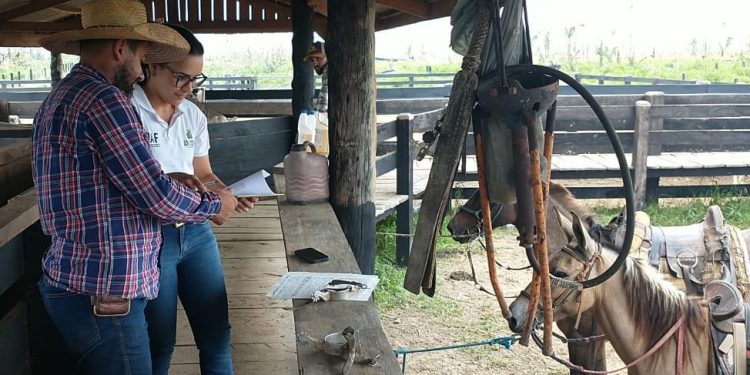 Adaf estabelece obrigatoriedade de