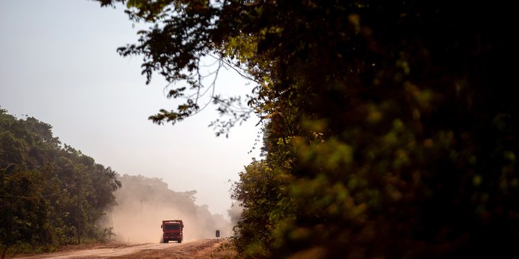 Observatório BR-319 impulsiona a região através de diversas iniciativas