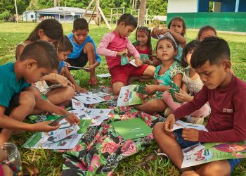 Projeto Ambiental na Amazônia