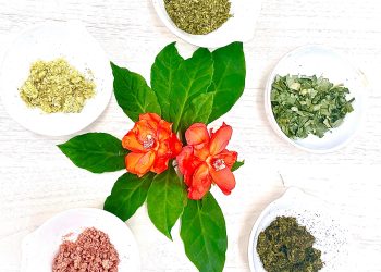 Nova alternativa de alimentação