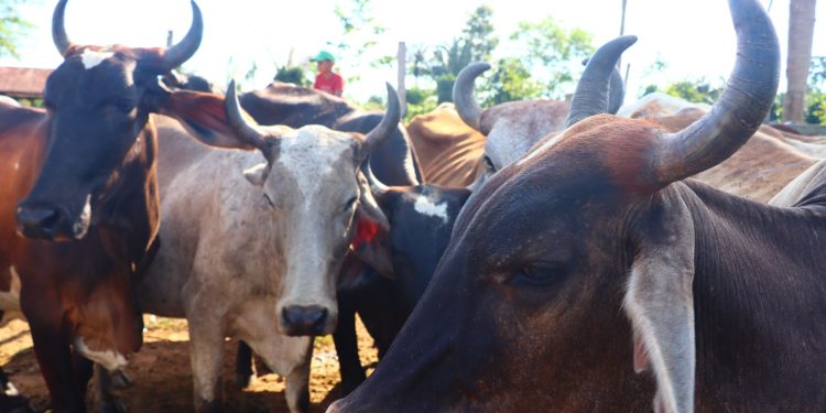 Abertas as Inscrições para