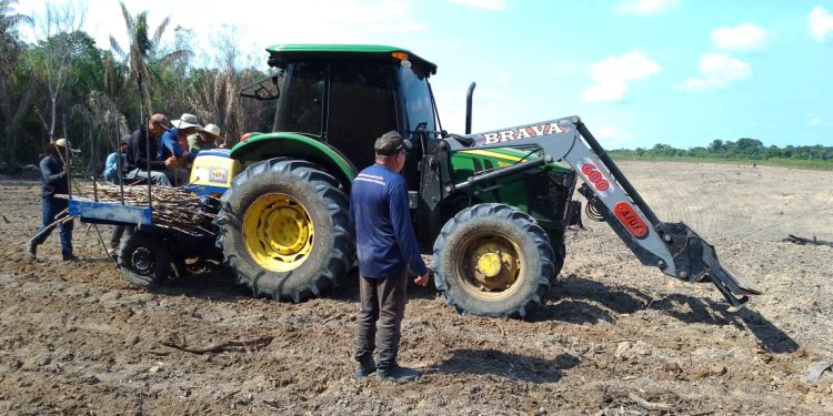 Curso de Mecanização Agrícola acontece em Alvarães