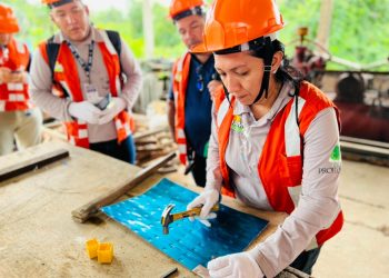 Mapeamento para viabilidade