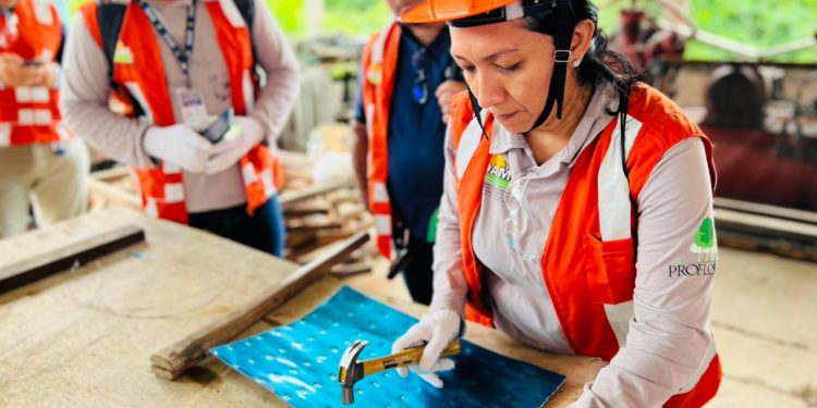 Mapeamento para viabilidade