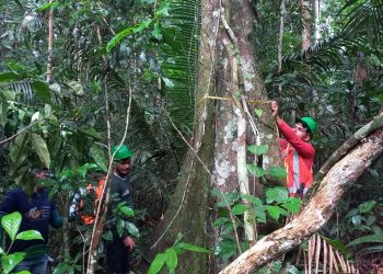 identificam 400 hectares para