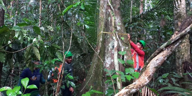 identificam 400 hectares para