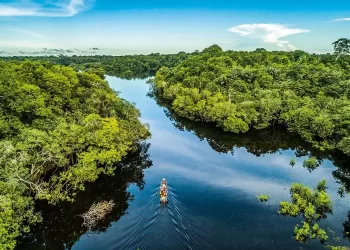 Edital Amazônia resiliente