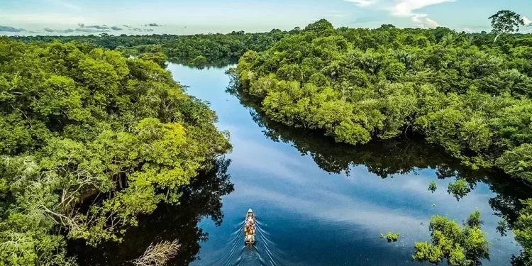 Edital Amazônia resiliente