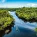 Edital Amazônia resiliente