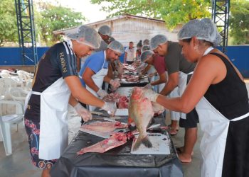 Iniciam cursos gratuitos para produtores rurais de Manaus