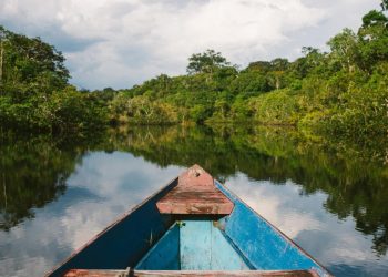 Universidade lança curso inédito de Biotecnologia Amazônica