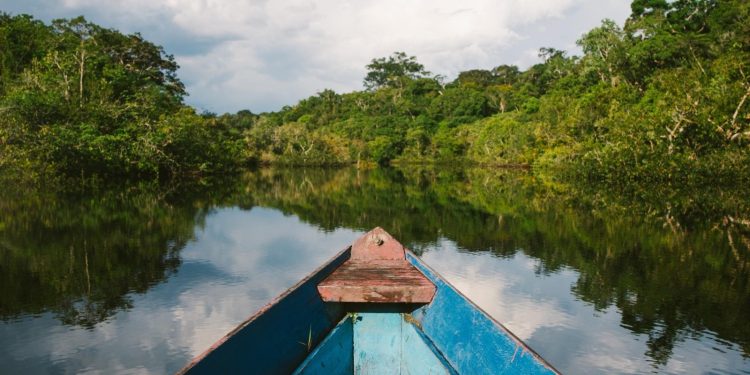 Universidade lança curso inédito de Biotecnologia Amazônica
