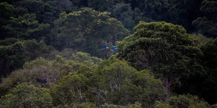 Campanha alerta para importância da saúde mental