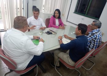 Suframa discute implantação