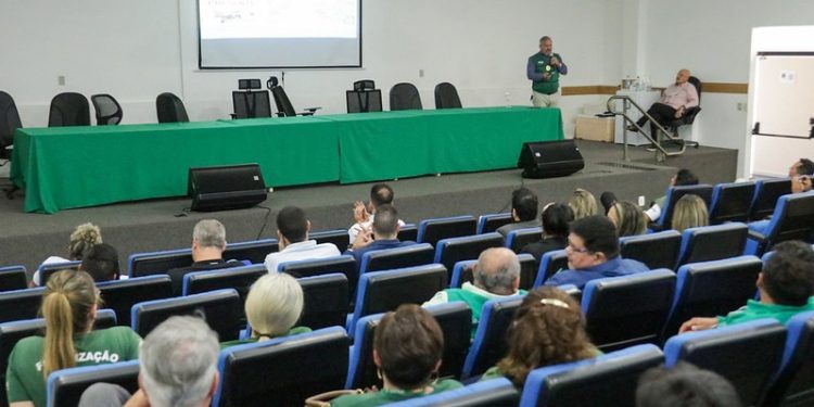 Encontro de representantes em busca de ações contra desmatamento