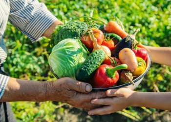 Inscrições para o PAA Indígena