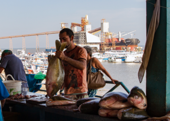 Portos Amazônicos registraram a