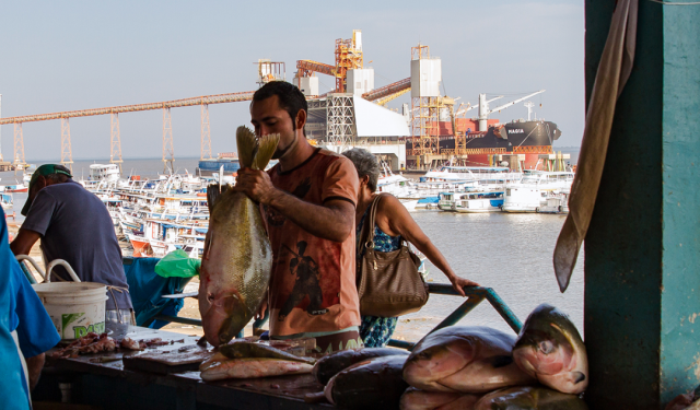 Portos Amazônicos registraram a