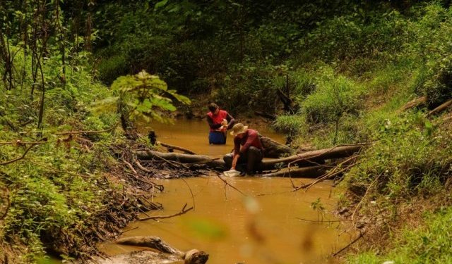 Estudo sobre insetos estimula educação ambiental no Acre