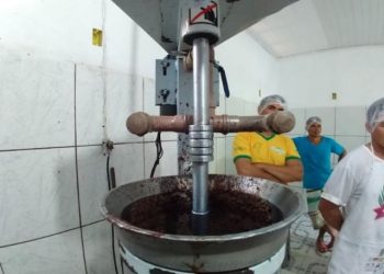 Açaí impulsiona bioeconomia em feijó