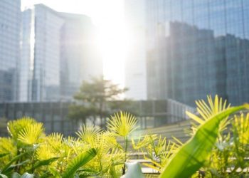 MCTI busca zerar emissões