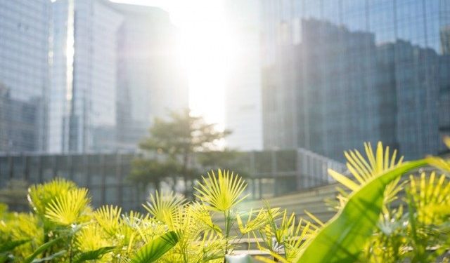 MCTI busca zerar emissões