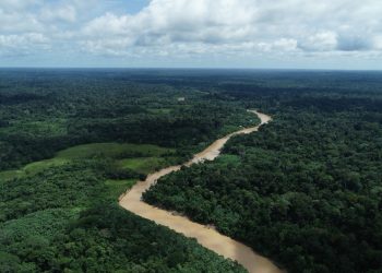 Acre se destaca como